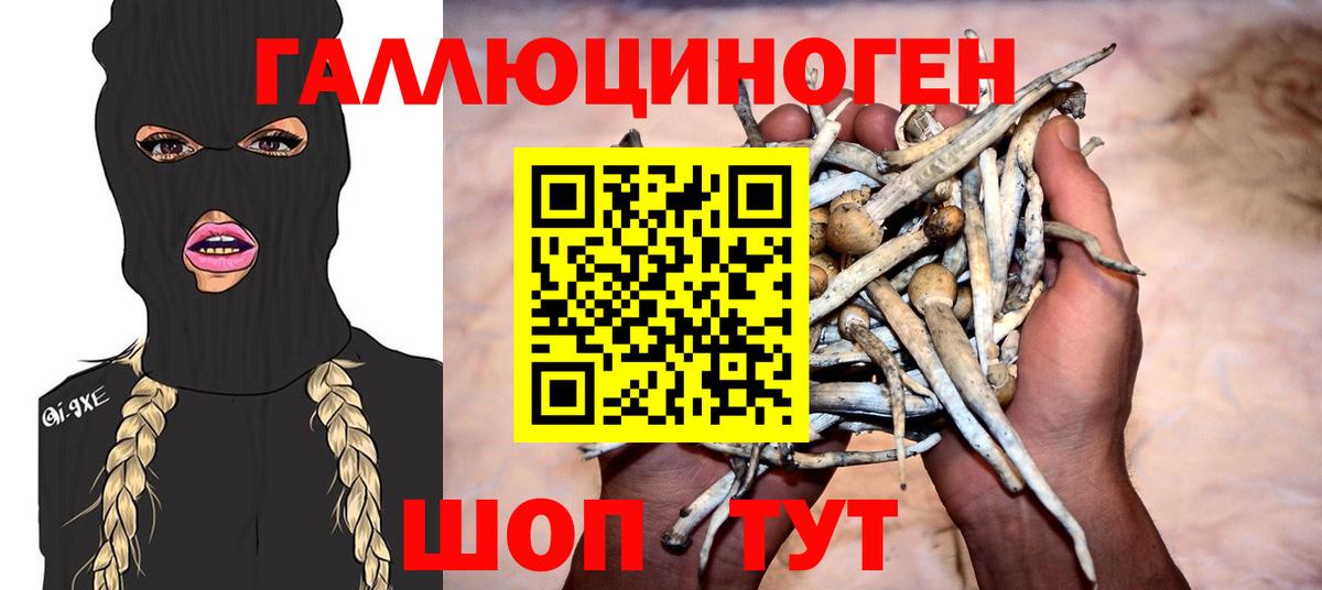 Галлюциногенные грибы прущие грибы Кунгур