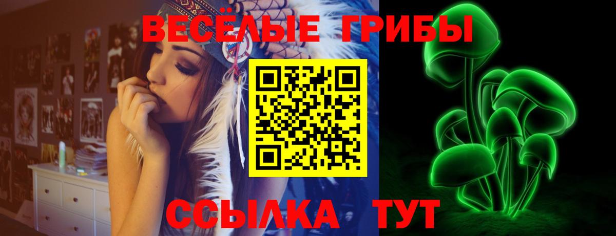 Кунгур  Галлюциногенные грибы Psilocybine cubensis  Вход с VPN 